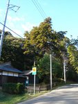 P1140999