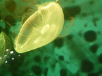 P1020259