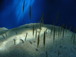 P1020266