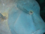 P1020274