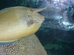 P1020277