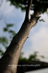 FY0_1387