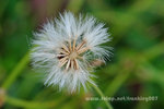 FY0_1395