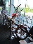 IMG_3146