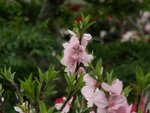 PICT0858