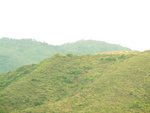 PICT3583