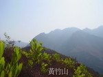 �ۤ����l 014