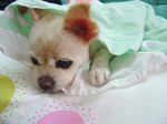 2004.06.30