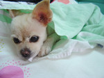 2004.06.30