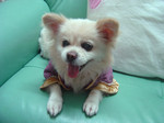 2004.09.24