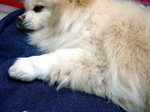 2005.03.20