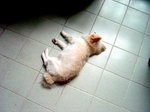 2005.09.20