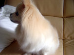 2006.04.23