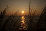 IMG_7653