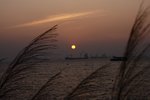 IMG_7709