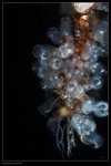 IMG_3720J