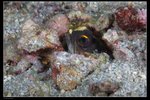 IMG_3776J