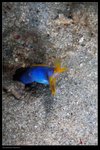 IMG_3778J