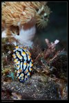 IMG_3780J