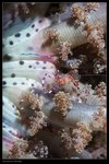IMG_3801J