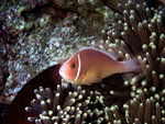 P1010234