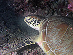 
P1010284