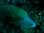 P1010308