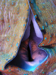 P1010354