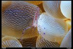 IMG_8991