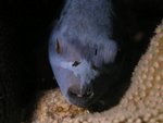P4240340