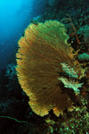 P4260202