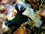 P4260265