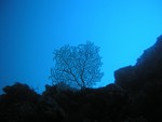 P1010043