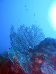 P1010047