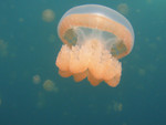 P1010068-44