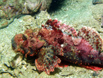 P1180378