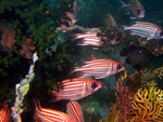 P1180380