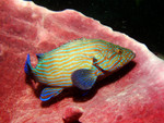 P1180382