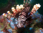 P1180383