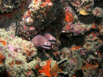 P1180390