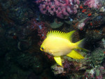 P1180392