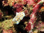 P1180395