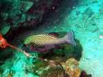 P1180404