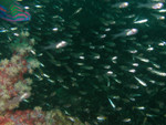 P1180412