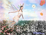 angel01