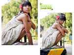stella-328