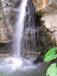 CIMG0018