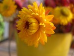 CIMG0782