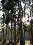 CIMG0042