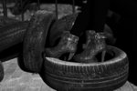 DSC_6477